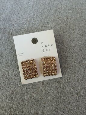 a new day Champagne Crystal Rectangle Stud Earrings